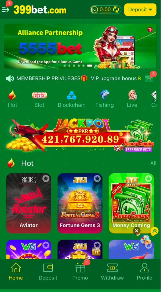 399pak Game